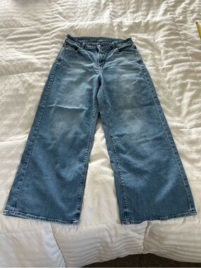 American Eagle Outfitters Baggy Wide Leg Jeans EUC size8